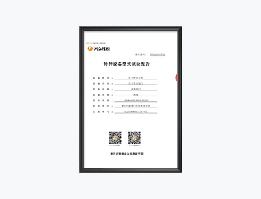 特种设备型式试验报告-闸阀2